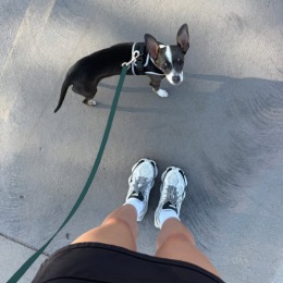 a person standing next to a dog